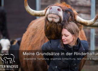 © Alster Wagyus / Anne Butz