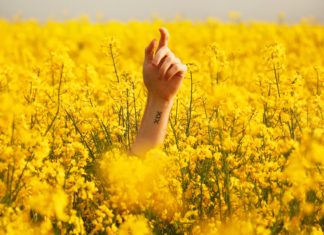 weidefunk-Special „Label-Orientierung“: Oder als ich versuchte zu sagen, was ich mit gutem, also artgerechtem, also Fleisch aus guter Haltung meine