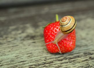 „Meet Food“: Nähe ausdrücklich erwünscht