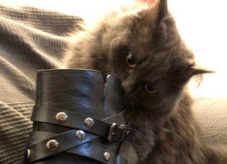 Schuhtick goes artgerecht. Was Du tun kannst, wenn Dir die Herkunft Deiner Schuhe mittlerweile unter die Haut geht. Sarahs Katze