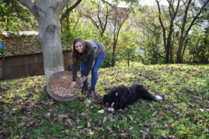 Walnussbaum statt Industrieware: Wie Metzgerin Desirée Grießhaber-Vetter durch Herz und Haltung ihre Kunden begeistert.