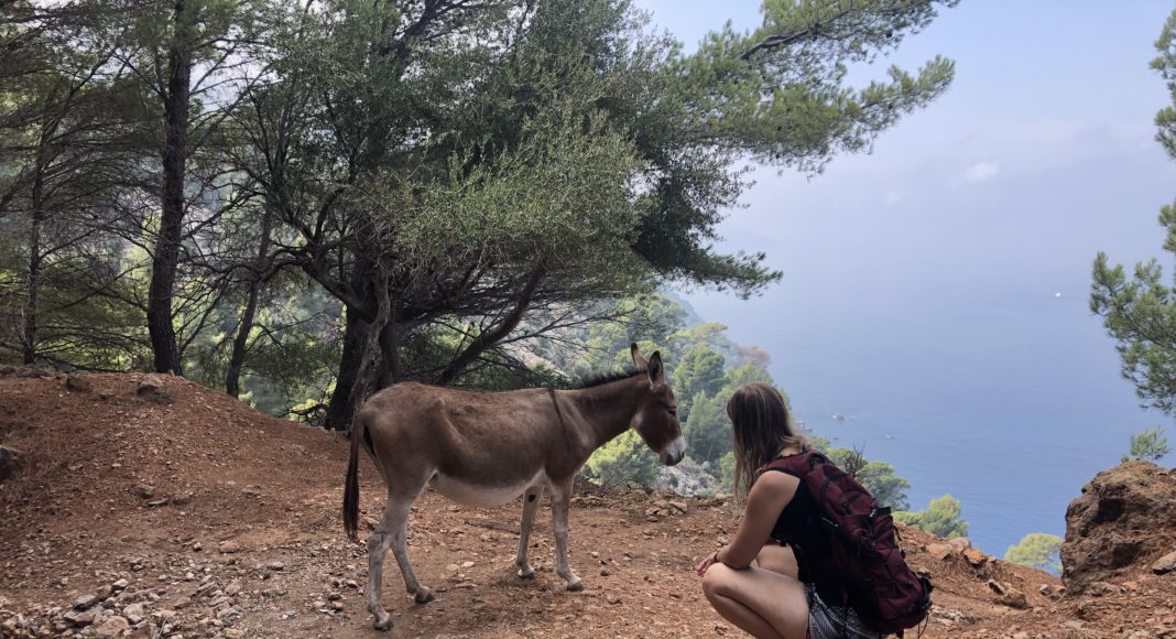 Juliane mit Esel auf den Kanaren