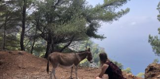 Juliane mit Esel auf den Kanaren