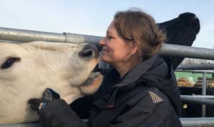 Anna Butz, die stille Pionierin. Wie wir unseren Blick auf Kühe und Kälber verändern, wenn wir den sanften Weg wählen.