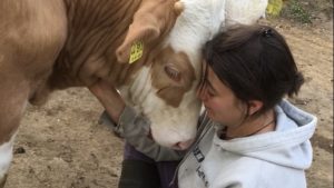 HeuMilch Bauern vs. Industriemilch: Eine Geschichte von Menschen, die sich für ehrlich mehr #Kälberwohl einsetzen.